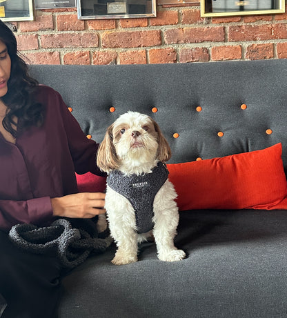 Lite Harness - Teddy Charcoal