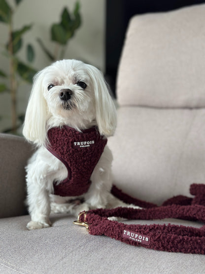 A small white dog wearing a burgundy teddy harness with a matching leash. The harness has the brand name 'TRUFOIS' printed on it.