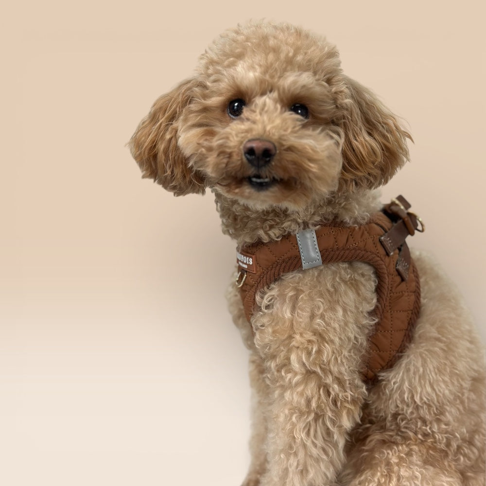 Step-In Harness - Macchiato Brown