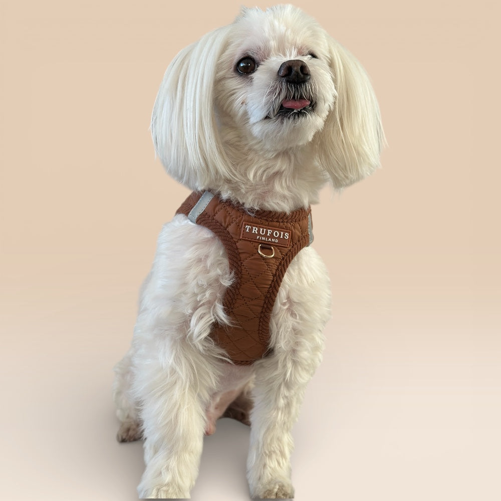 Step-In Harness - Macchiato Brown