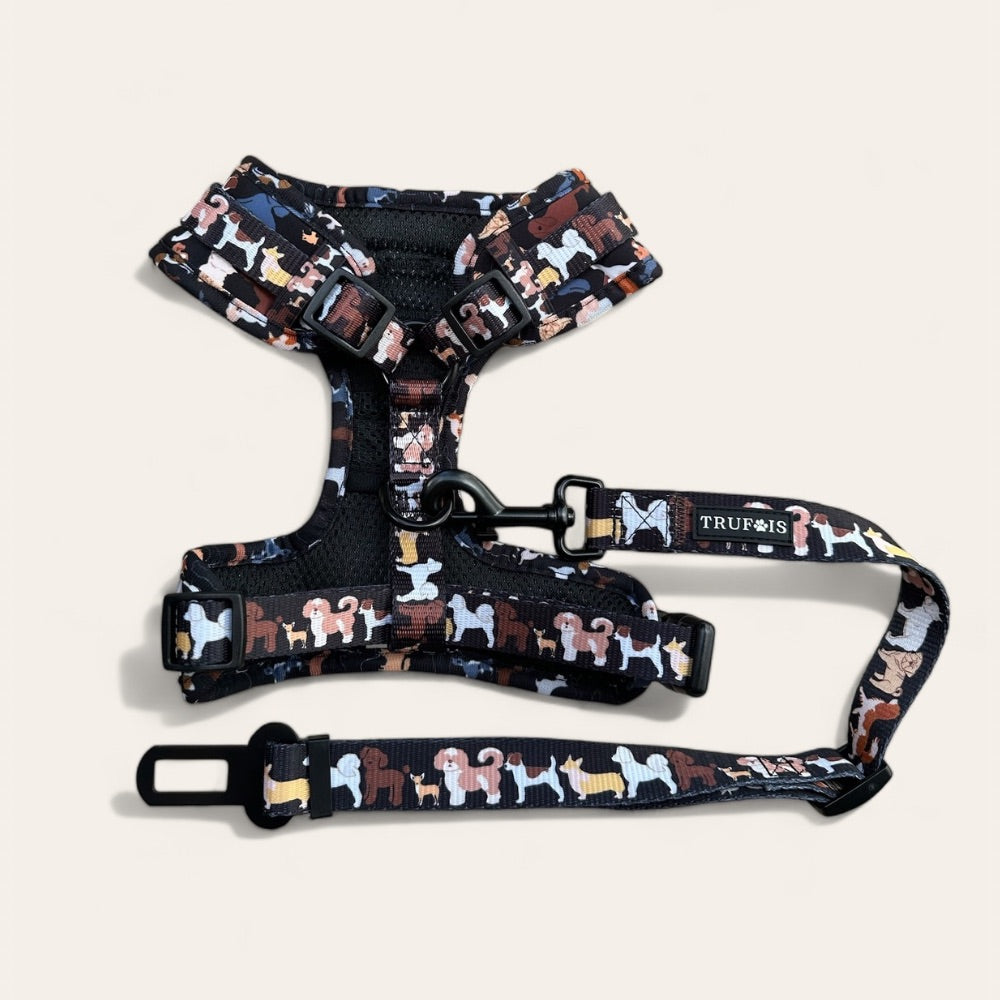 Seat Belt Restraint - 101 tails