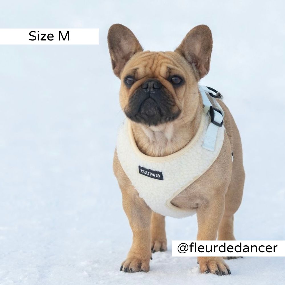 Lite Adjustable Harness Teddy White Airtag Nalle Valjaat Big Dog. Nalle Koiratarvikeet.