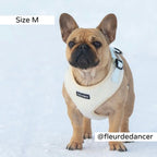 Lite Adjustable Harness Teddy White Airtag Nalle Valjaat Big Dog. Nalle Koiratarvikeet.